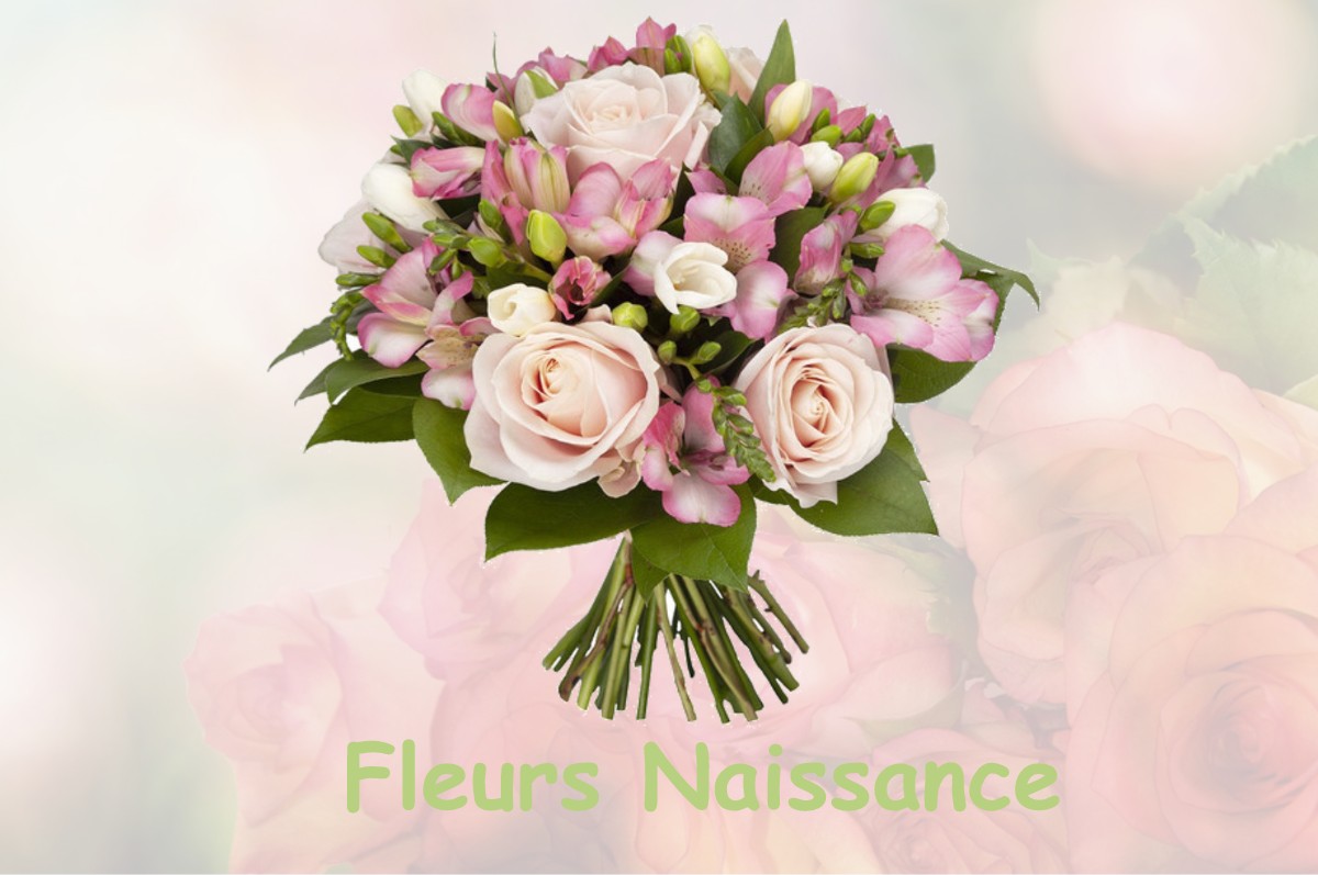 fleurs naissance CHAILLON