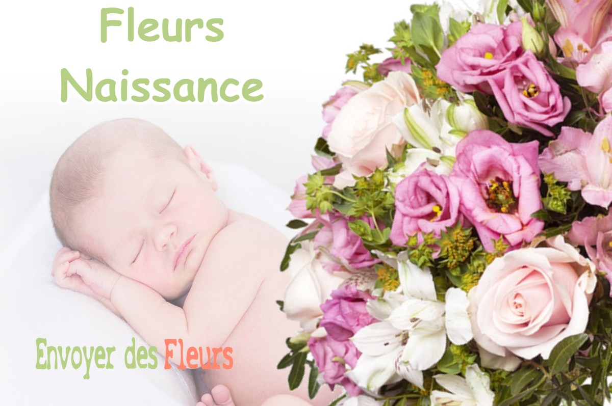 lIVRAISON FLEURS NAISSANCE à CHAILLON